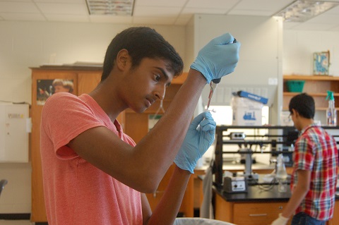 Vignesh Valaboju, 16, dilutes a primer sample in the biology lab at Rock Ridge High School to create a living vaccine for Lyme disease. Times-Mirror Photo/Kate Murphy